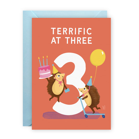 Age 3 Birthday Cards - Hedgehog Cards - Third Birthday Cards