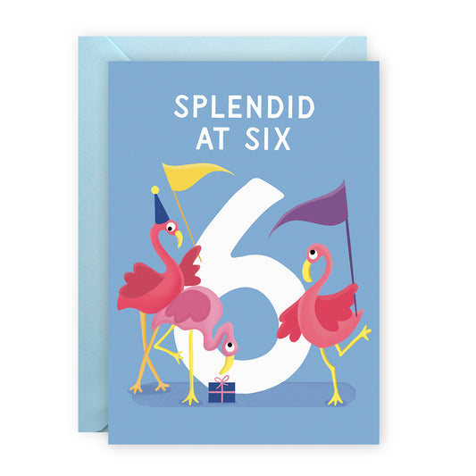 Age 6 Birthday Cards - Sixth Birthday Cards - Flamingo Cards